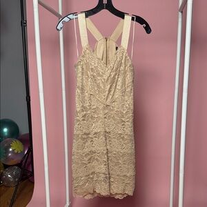 Guess Lace Dress in Beige